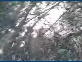 Outdoor sexual encounter with Randi in exchange for money